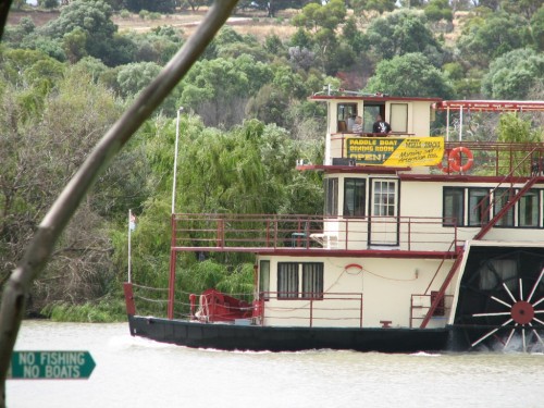 Boat on the River Murray at Swanport Reserve Boat on the River Murray at Swanport Reserve
