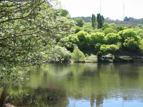 Mt Lofty Botanic Gardens Mt Lofty Botanic Gardens
