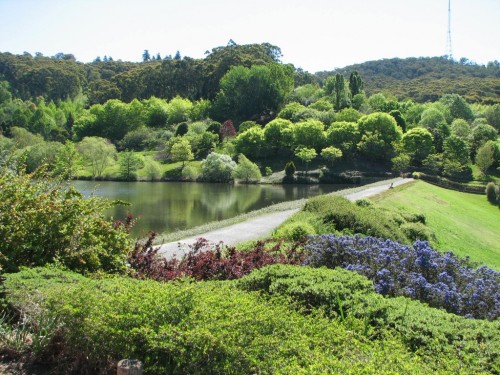 Mt Lofty Botanic Gardens Mt Lofty Botanic Gardens