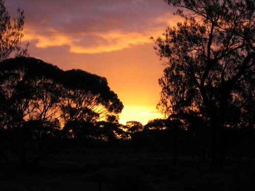 Sunset at Gluepot Bird Reserve Sunset at Gluepot Bird Reserve
