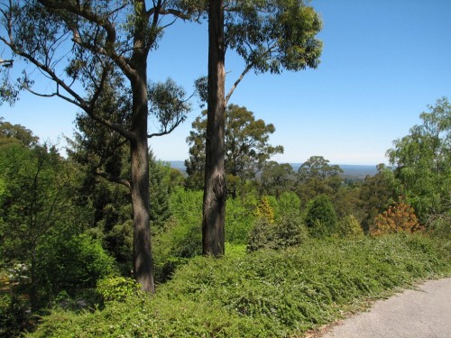 Mt Lofty Botanic Gardens