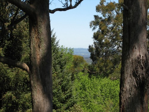 Mt Lofty Botanic Gardens Mt Lofty Botanic Gardens