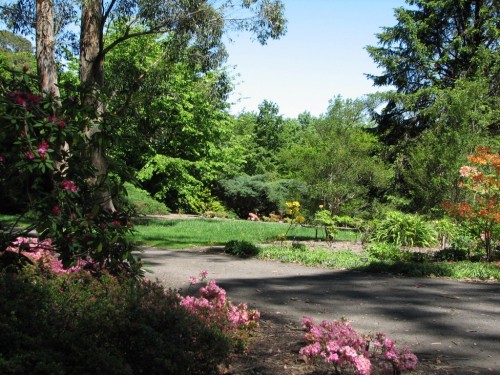 Mt Lofty Botanic Gardens Mt Lofty Botanic Gardens