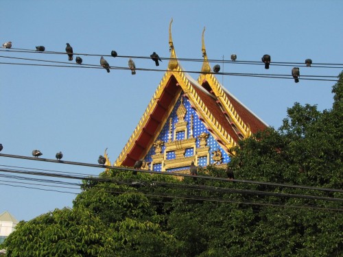 A temple in Bangkok, Thailand A temple in Bangkok, Thailand
