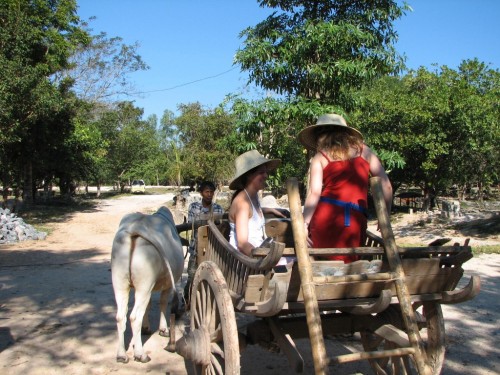 Buffalo cart ride in rural Thailand Buffalo cart ride in rural Thailand