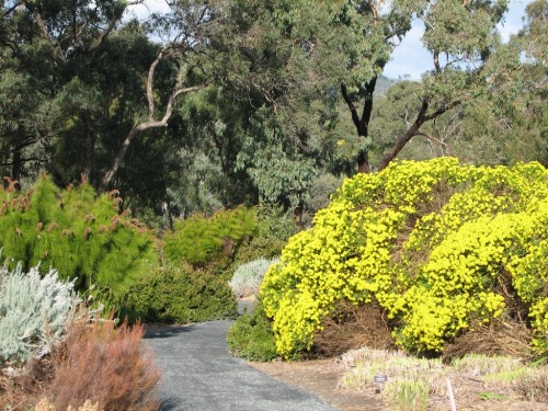 Wittunga Botanic Gardens Wittunga Botanic Gardens