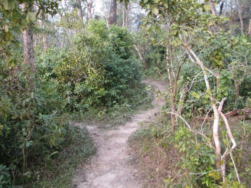 Royal Chitwan National Park Royal Chitwan National Park