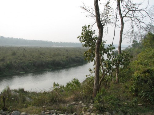 Royal Chitwan National Park Royal Chitwan National Park