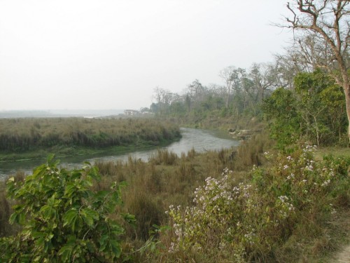 Royal Chitwan National Park Royal Chitwan National Park
