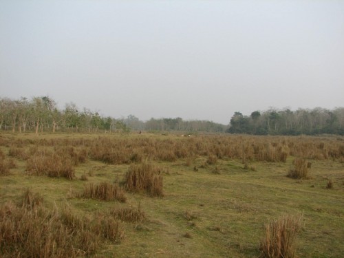 Royal Chitwan National Park Royal Chitwan National Park