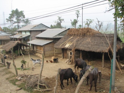 Farm life in Nepal Farm life in Nepal