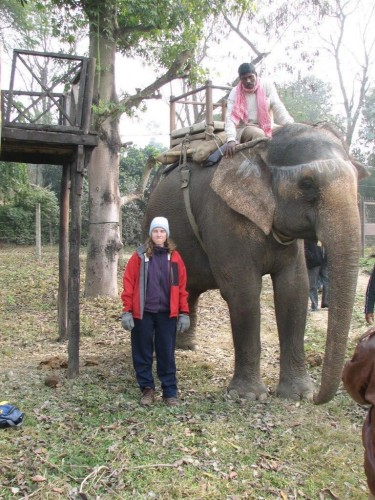 Elephant ride in Chitwan National Park Elephant ride in Chitwan National Park