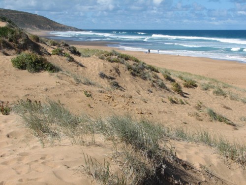 Waitpinga Beach, Newland Head CP Waitpinga Beach, Newland Head CP
