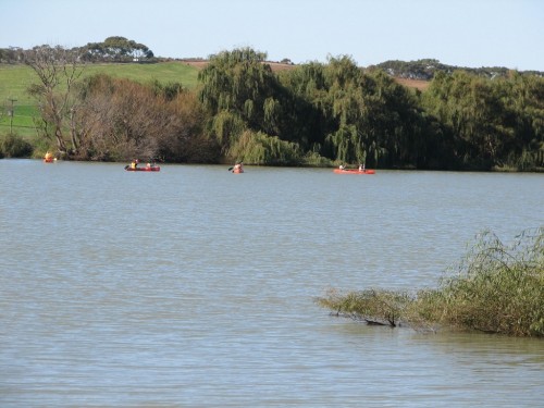 Canoes on the River Murray Canoes on the River Murray