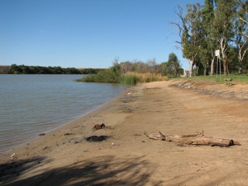 River Murray at Swanport Reserve, Murray Bridge River Murray at Swanport Reserve, Murray Bridge
