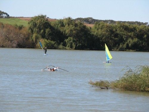 Sailboarders and rowers on the River Murray Sailboarders and rowers on the River Murray