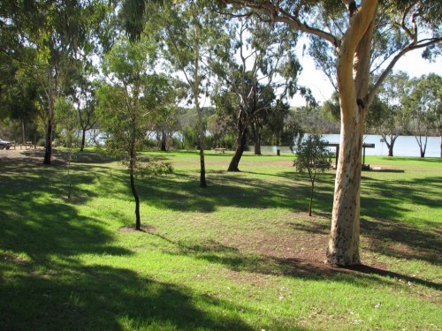 River Murray at Swanport Reserve, Murray Bridge River Murray at Swanport Reserve, Murray Bridge