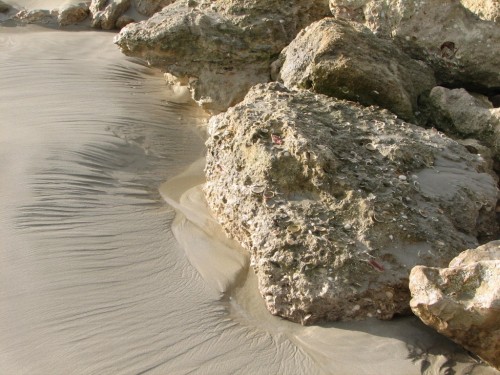Rocks on the beach at Guichen Bay, Robe Rocks on the beach at Guichen Bay, Robe