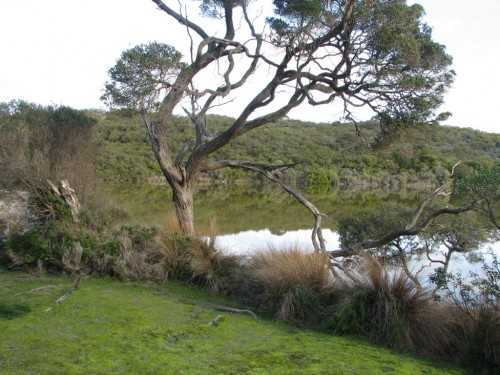 Old Man Lake, south of Robe, South Australia Old Man Lake, south of Robe, South Australia