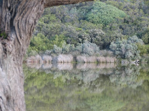 Old Man Lake, south of Robe, South Australia Old Man Lake, south of Robe, South Australia