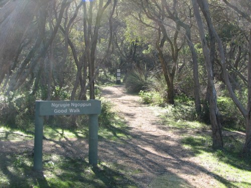 Walking trail, Coorong National Park. Walking trail, Coorong National Park.