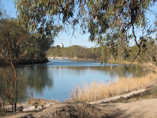 River Murray at Loxton, South Australia River Murray at Loxton, South Australia