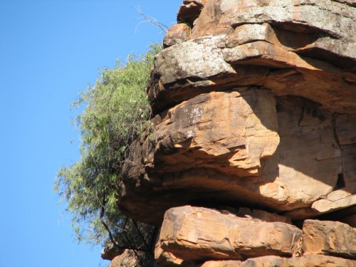 Cocoparra National Park, central New South Wales