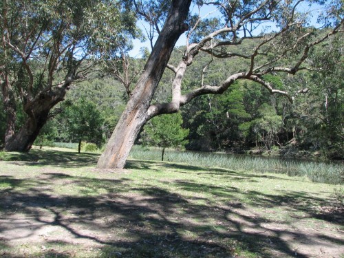 Royal National Park, south of Sydney Royal National Park, south of Sydney