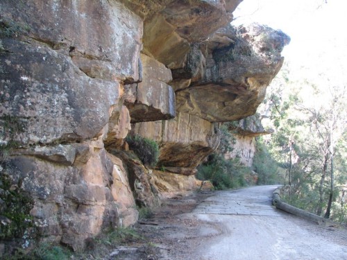 Royal National Park, south of Sydney Royal National Park, south of Sydney