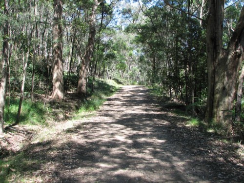 Royal National Park, south of Sydney Royal National Park, south of Sydney