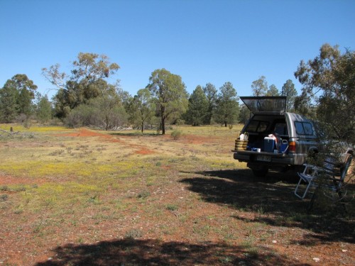 Round Hill Nature Reserve, central NSW Round Hill Nature Reserve, central NSW