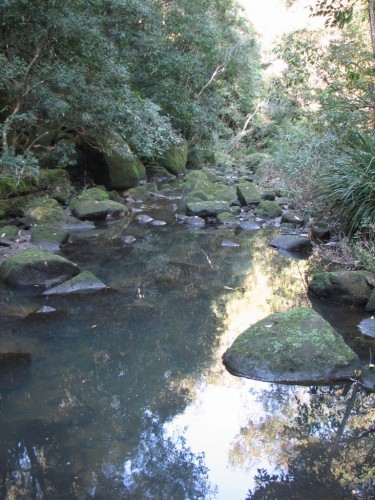Flat Rock Creek, Northbridge, Sydney Flat Rock Creek, Northbridge, Sydney