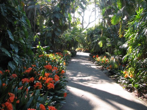 Royal Botanic Gardens, Sydney Royal Botanic Gardens, Sydney