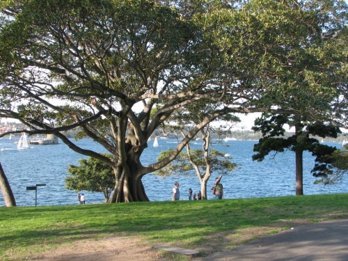 Fort Denison, Sydney Harbour Fort Denison, Sydney Harbour