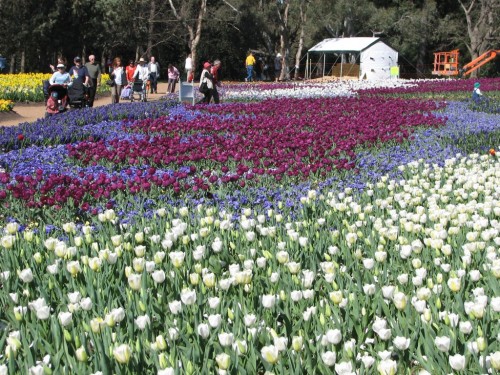 Floriade 2007, Canberra Floriade 2007, Canberra