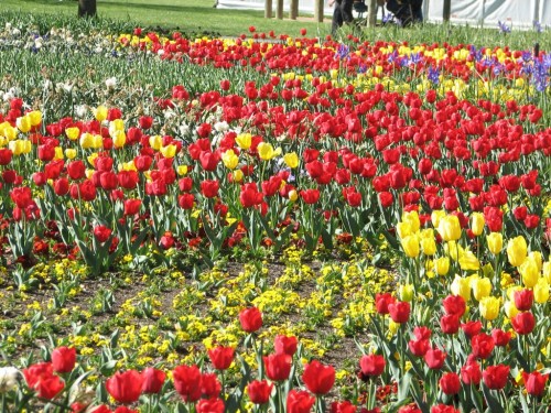 Floriade 2007, Canberra