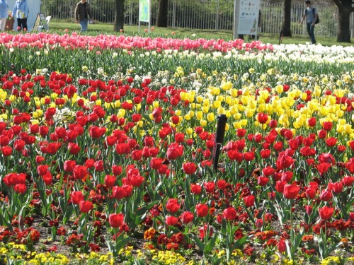 Floriade 2007, Canberra