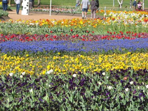 Floriade 2007, Canberra