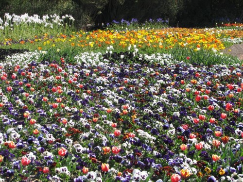 Floriade 2007, Canberra