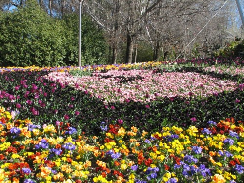 Floriade 2007, Canberra Floriade 2007, Canberra