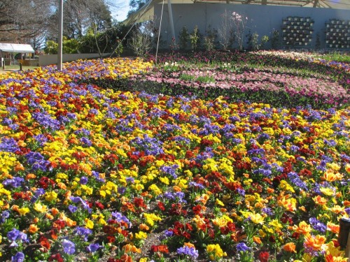 Floriade 2007, Canberra Floriade 2007, Canberra