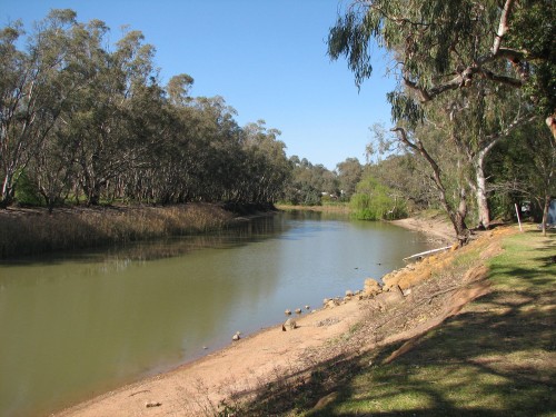 Murray River at Swan HIll, Victoria September 2007 Murray River at Swan HIll, Victoria September 2007