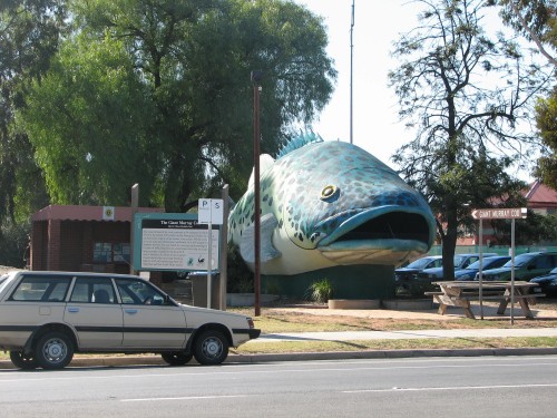 The giant Murray Cod, Swan Hill The giant Murray Cod, Swan Hill