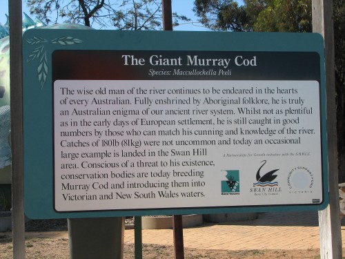 The giant Murray Cod, Swan Hill The giant Murray Cod, Swan Hill