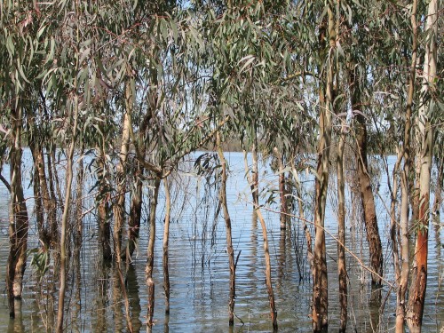 Lake Hattah, NW Victoria Lake Hattah, NW Victoria