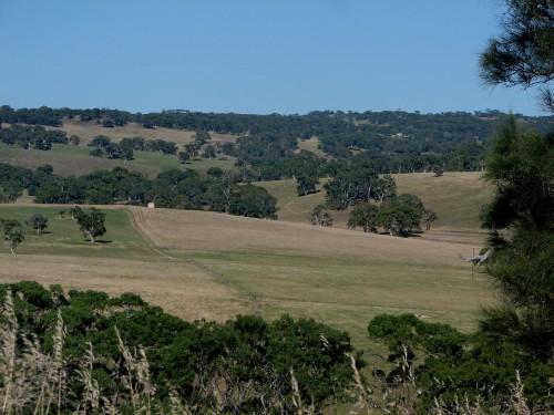 Paris Creek, Mt Lofty Ranges Paris Creek, Mt Lofty Ranges