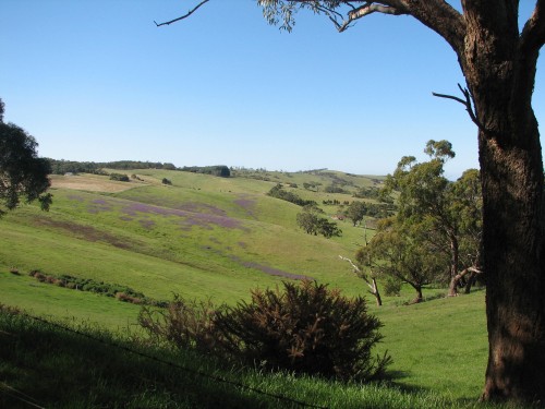 Paris Creek, Mt Lofty Ranges, South Australia Paris Creek, Mt Lofty Ranges, South Australia