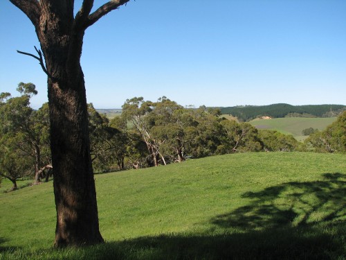 Paris Creek, Mt Lofty Ranges, South Australia Paris Creek, Mt Lofty Ranges, South Australia