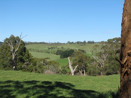 Paris Creek, Mt Lofty Ranges, South Australia Paris Creek, Mt Lofty Ranges, South Australia