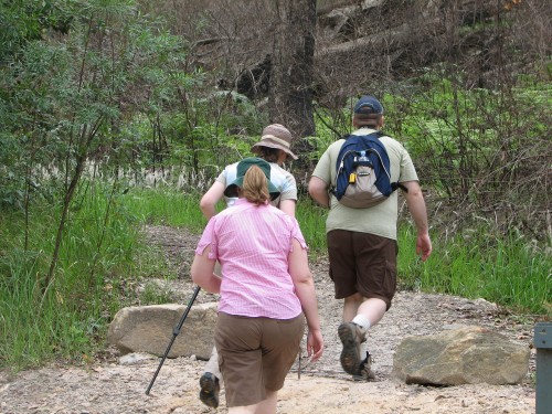Members of my family going on a walk through Lane Cove National Park